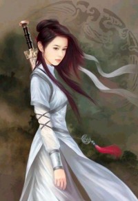 疯狂的作家